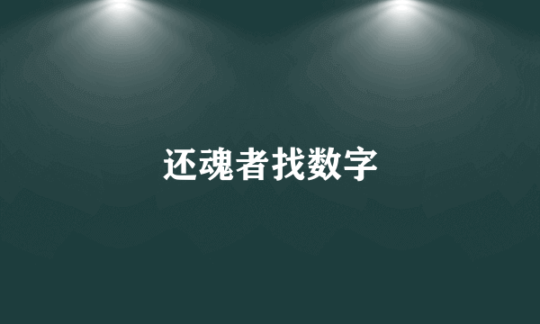 还魂者找数字