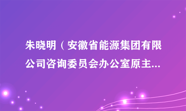 朱晓明（安徽省能源集团有限公司咨询委员会办公室原主任咨询员）