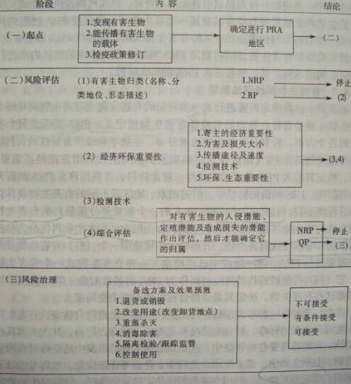 有害生物风险分析（检疫措施）