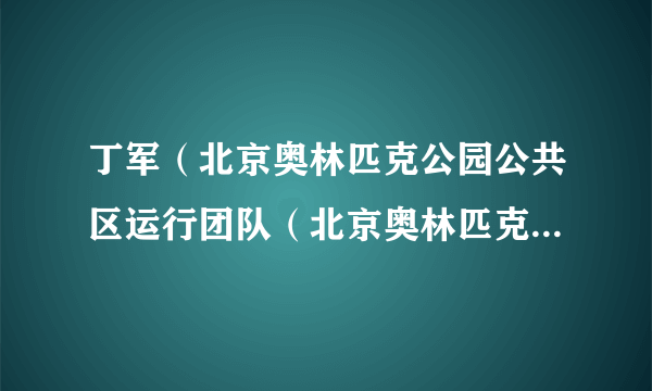 丁军（北京奥林匹克公园公共区运行团队（北京奥林匹克公园管理委员会）票务经理（大型活动处处长、三级调研员））