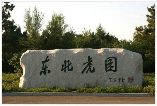 长春东北虎园