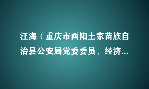 汪海（重庆市酉阳土家苗族自治县公安局党委委员、经济犯罪侦查大队大队长）