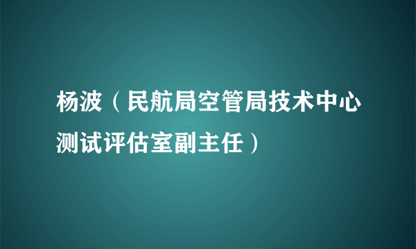 杨波（民航局空管局技术中心测试评估室副主任）