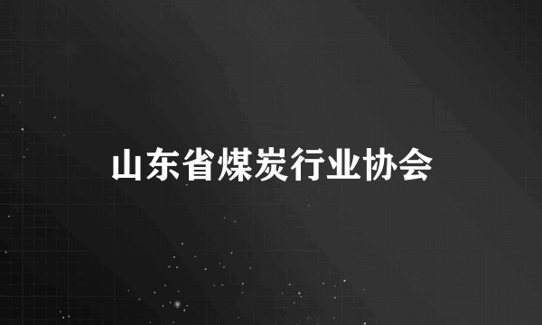 山东省煤炭行业协会