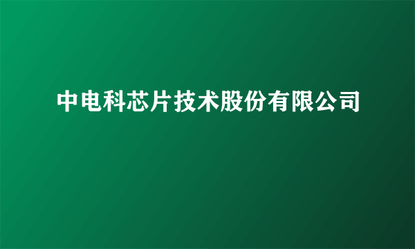 中电科芯片技术股份有限公司