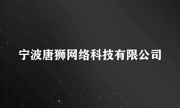 宁波唐狮网络科技有限公司