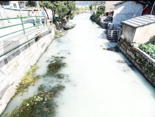 牛奶河（温州瓯海区瞿溪街道林桥村受污染河流）