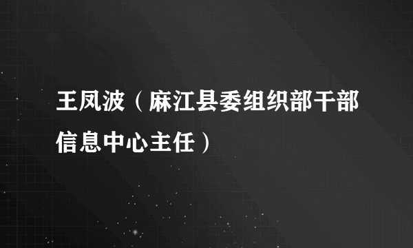 王凤波（麻江县委组织部干部信息中心主任）