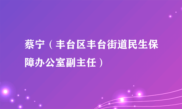 蔡宁（丰台区丰台街道民生保障办公室副主任）