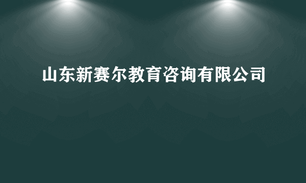 山东新赛尔教育咨询有限公司