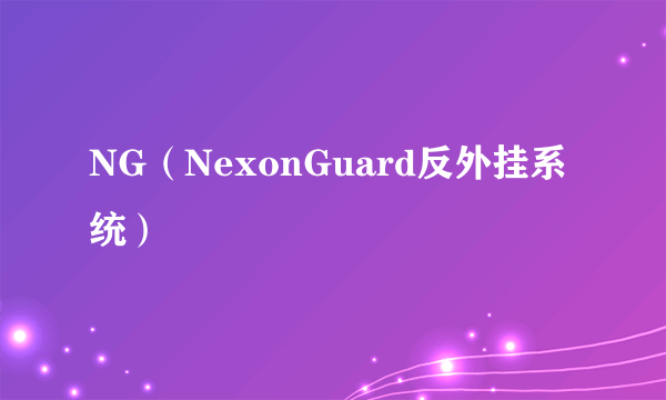 NG（NexonGuard反外挂系统）