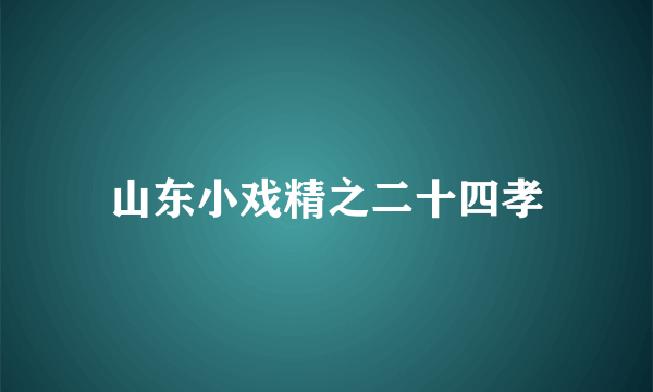 山东小戏精之二十四孝