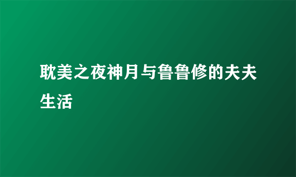 耽美之夜神月与鲁鲁修的夫夫生活