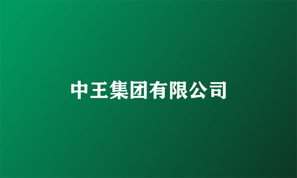 中王集团有限公司