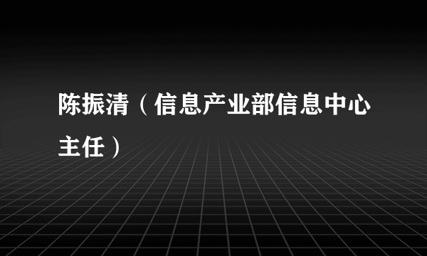 陈振清（信息产业部信息中心主任）