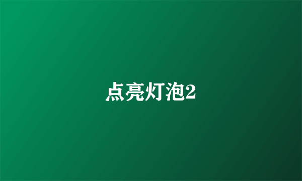 点亮灯泡2