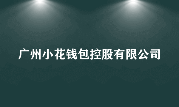 广州小花钱包控股有限公司