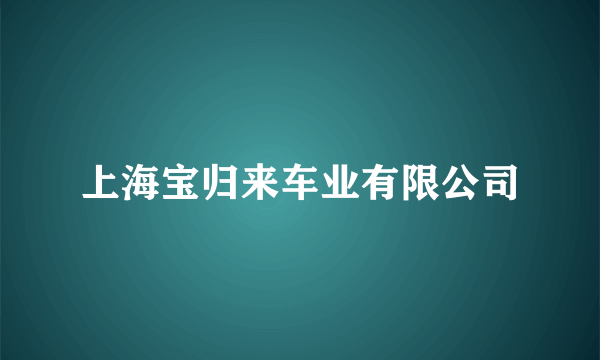 上海宝归来车业有限公司