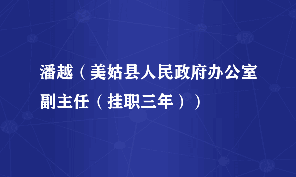 潘越（美姑县人民政府办公室副主任（挂职三年））