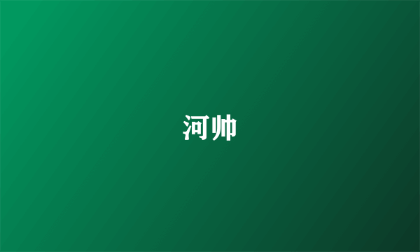 河帅