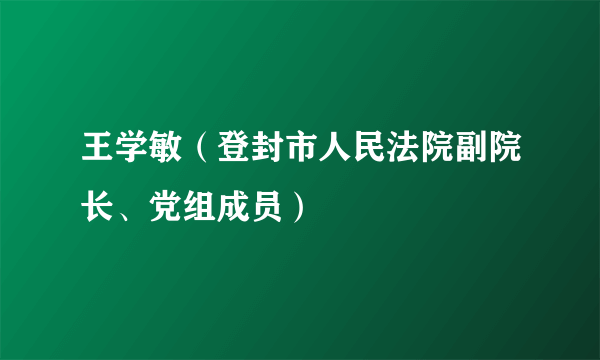 王学敏（登封市人民法院副院长、党组成员）