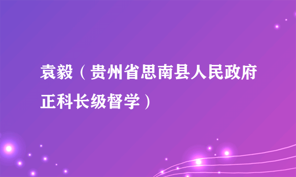 袁毅（贵州省思南县人民政府正科长级督学）