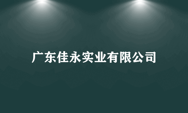 广东佳永实业有限公司