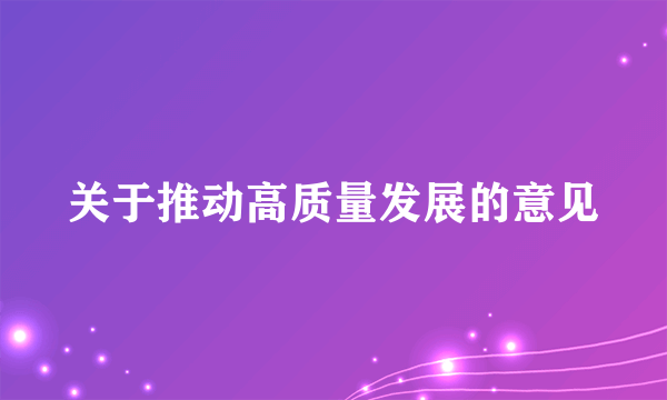 关于推动高质量发展的意见