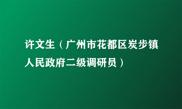 许文生（广州市花都区炭步镇人民政府二级调研员）