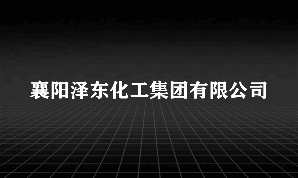 襄阳泽东化工集团有限公司