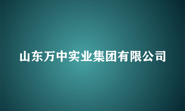 山东万中实业集团有限公司