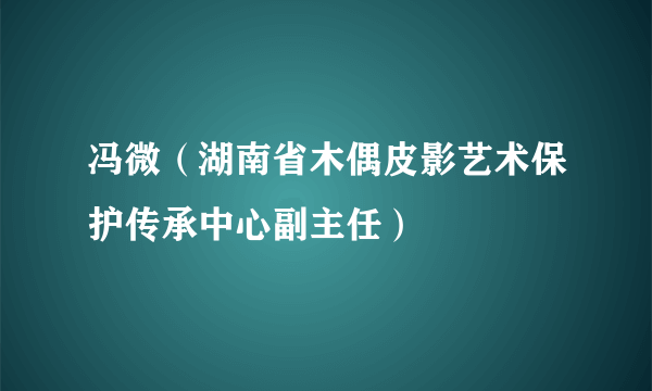 冯微（湖南省木偶皮影艺术保护传承中心副主任）