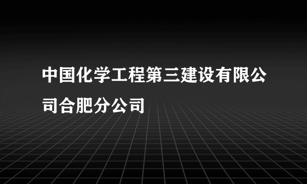 中国化学工程第三建设有限公司合肥分公司