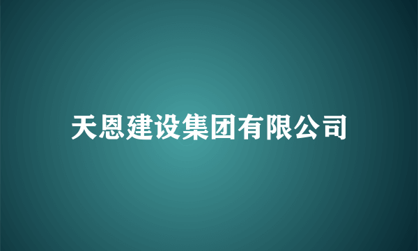 天恩建设集团有限公司