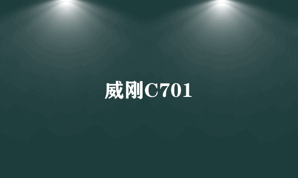 威刚C701