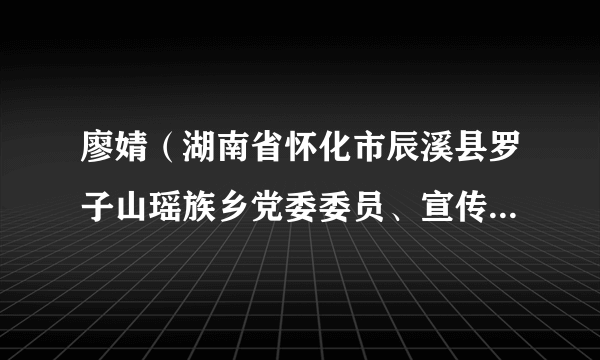 廖婧（湖南省怀化市辰溪县罗子山瑶族乡党委委员、宣传委员、政法委员、副乡长）