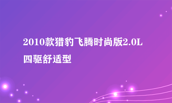 2010款猎豹飞腾时尚版2.0L四驱舒适型