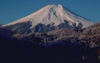 富士山树海