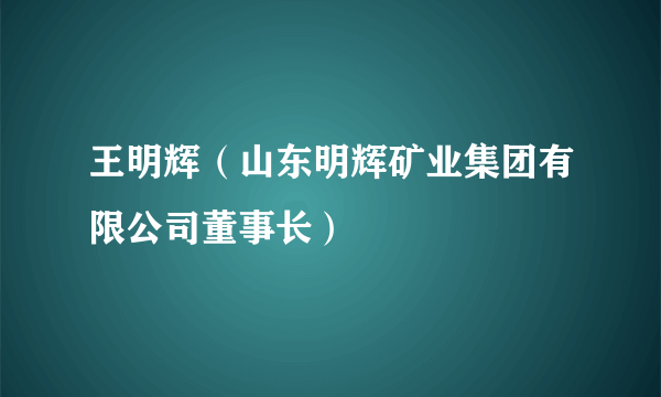 王明辉（山东明辉矿业集团有限公司董事长）