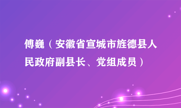 傅巍（安徽省宣城市旌德县人民政府副县长、党组成员）