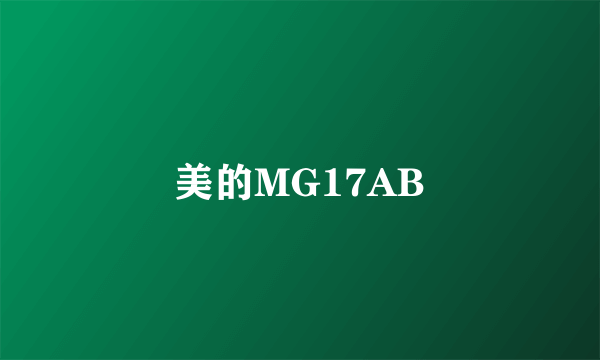 美的MG17AB