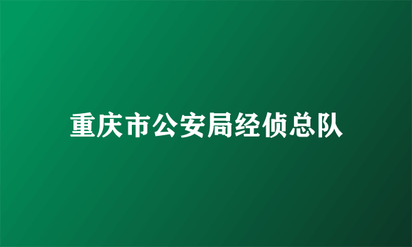 重庆市公安局经侦总队