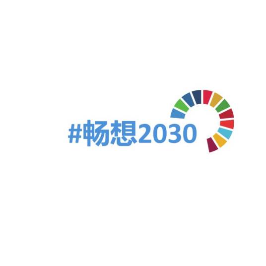 联合国中国“畅想2030”