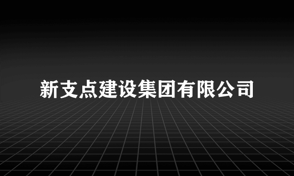 新支点建设集团有限公司