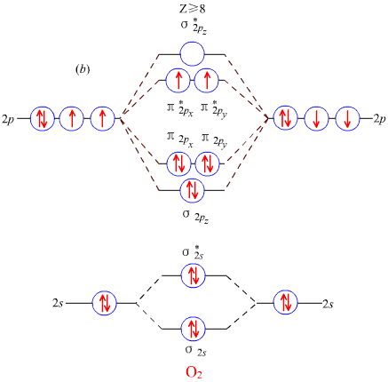 氧分子