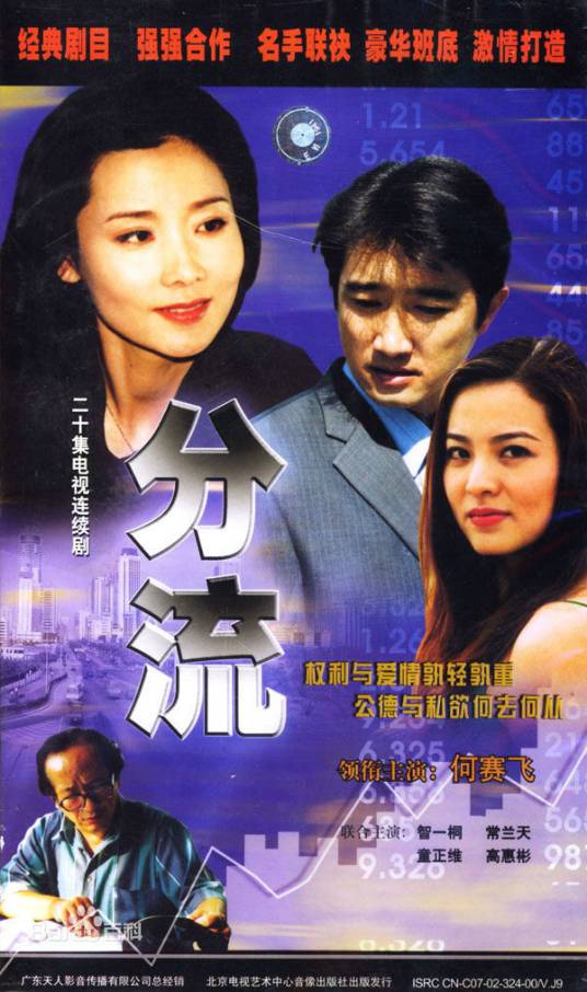 分流（2006年何赛飞主演电视剧）