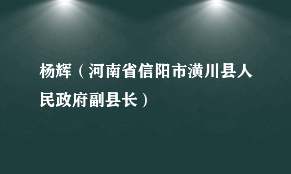 杨辉（河南省信阳市潢川县人民政府副县长）