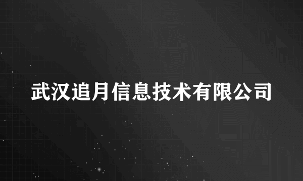 武汉追月信息技术有限公司