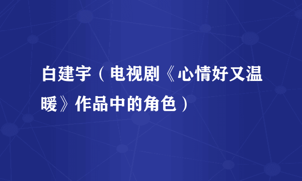 白建宇（电视剧《心情好又温暖》作品中的角色）