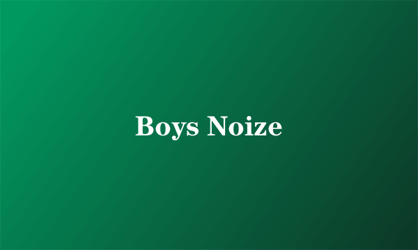 Boys Noize